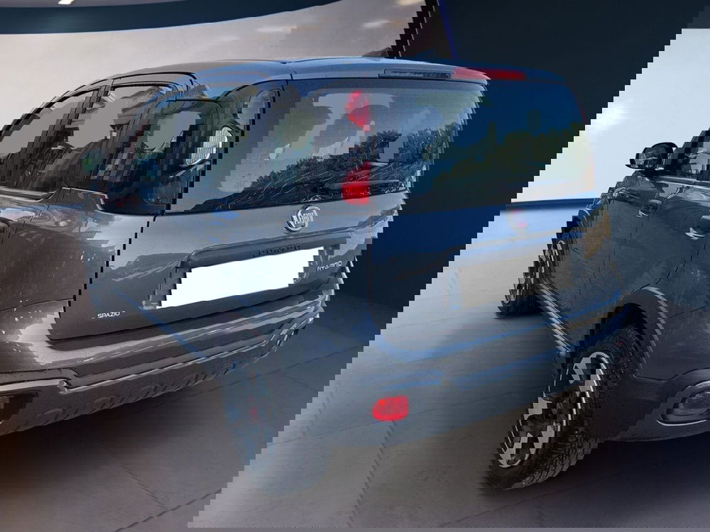 Fiat Panda Cross usata a Torino (5)