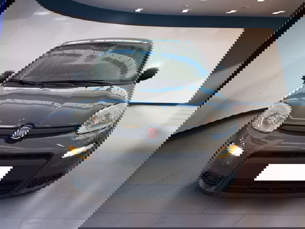 Fiat Panda usata a Torino