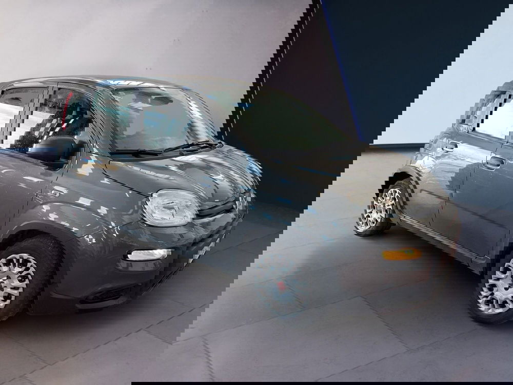 Fiat Panda usata a Torino (3)