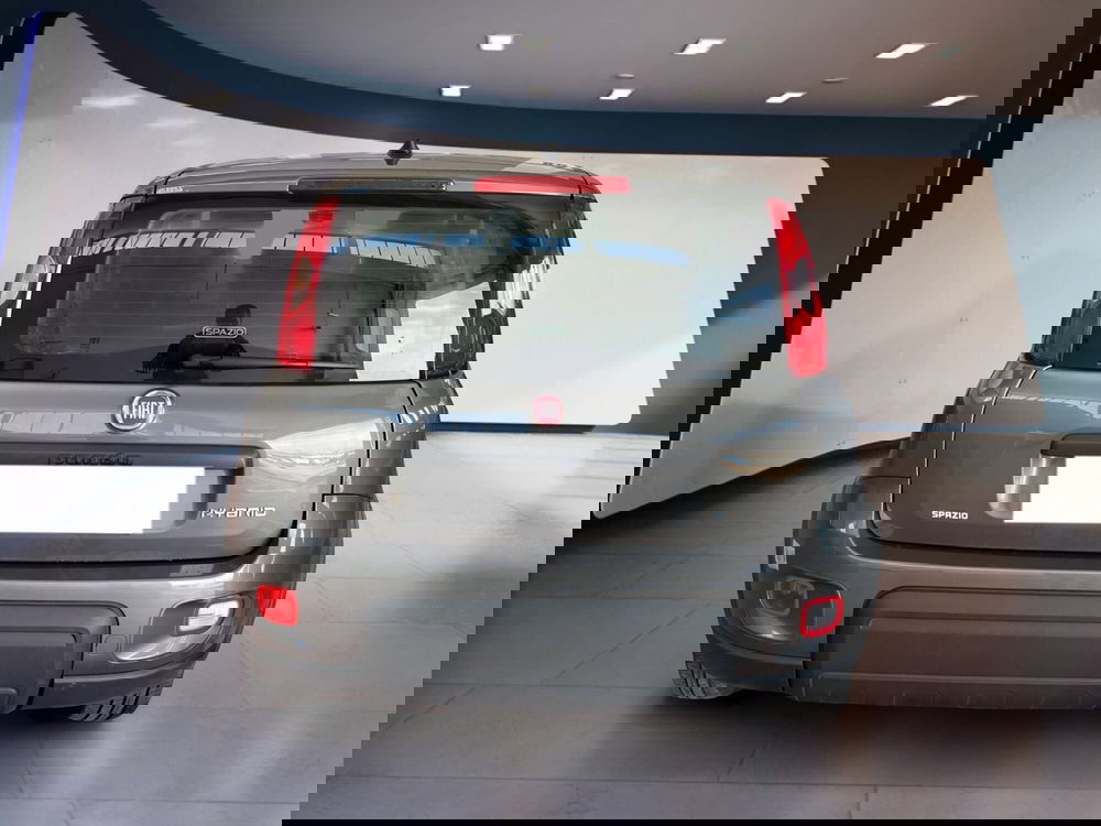 Fiat Panda usata a Torino (5)