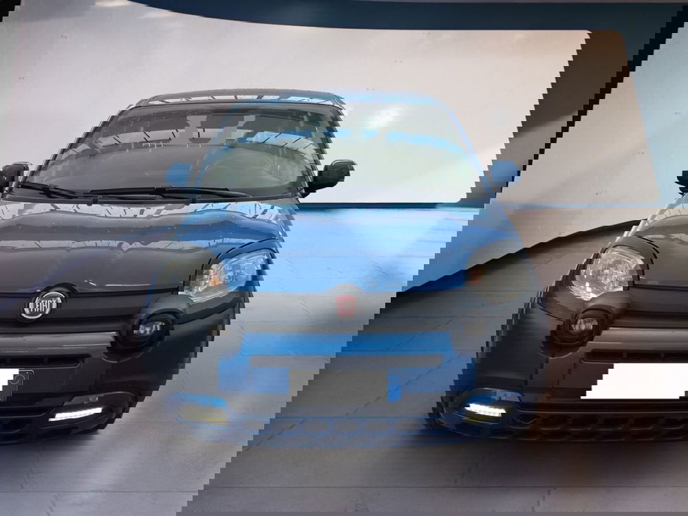 Fiat Panda Cross usata a Torino