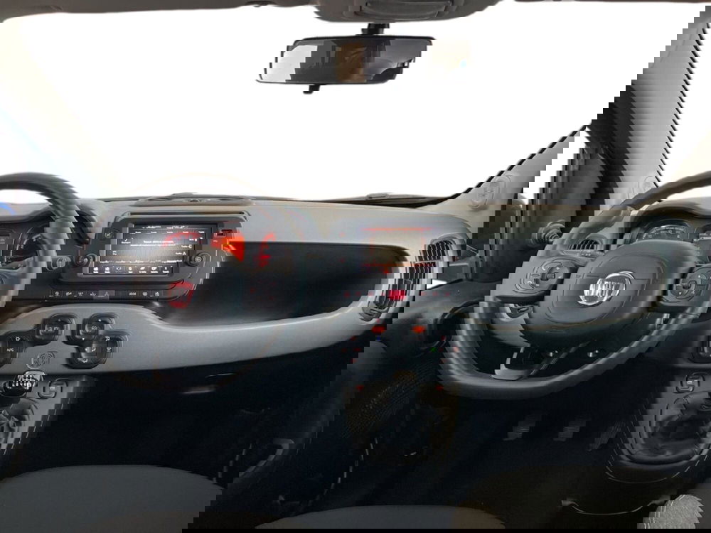 Fiat Panda Cross usata a Torino (11)