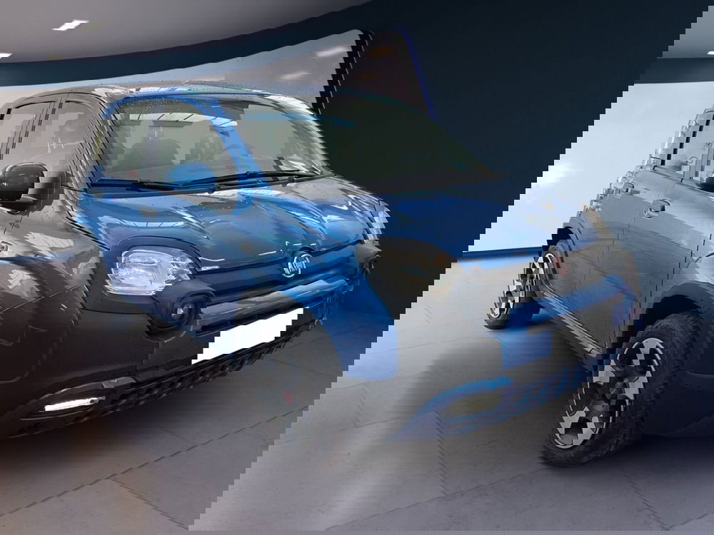 Fiat Panda Cross usata a Torino (2)