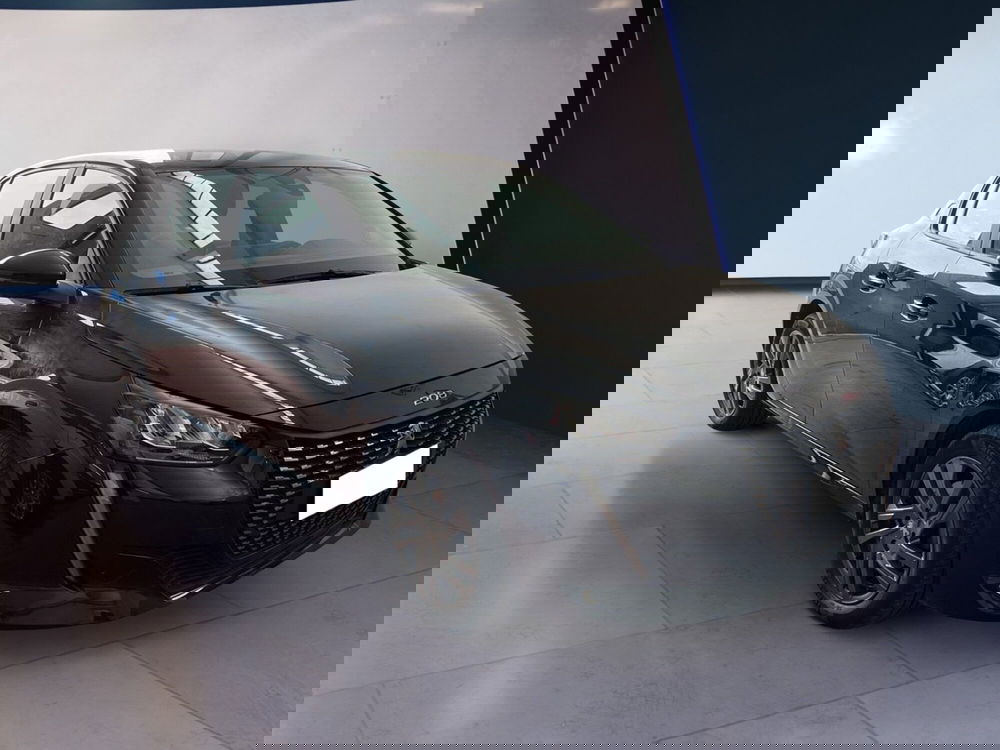 Peugeot 208 usata a Torino (2)