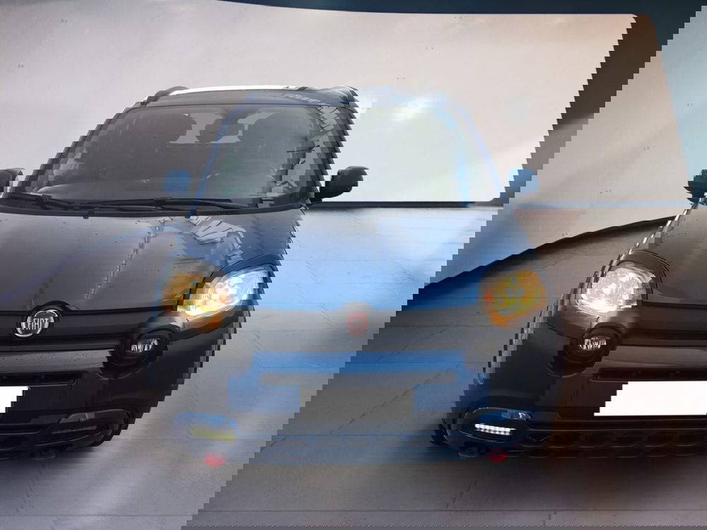 Fiat Panda Cross usata a Torino