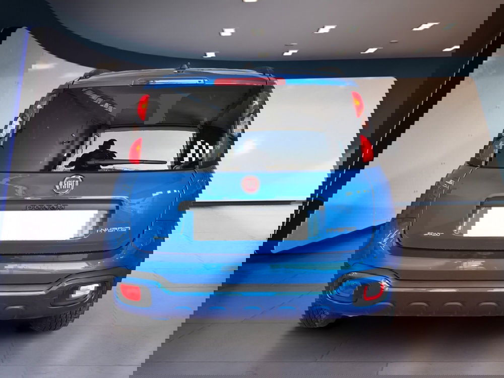 Fiat Panda Cross usata a Torino (5)