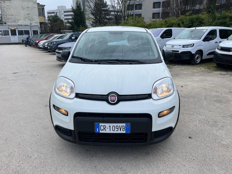 Fiat Panda Cross usata a Milano (2)