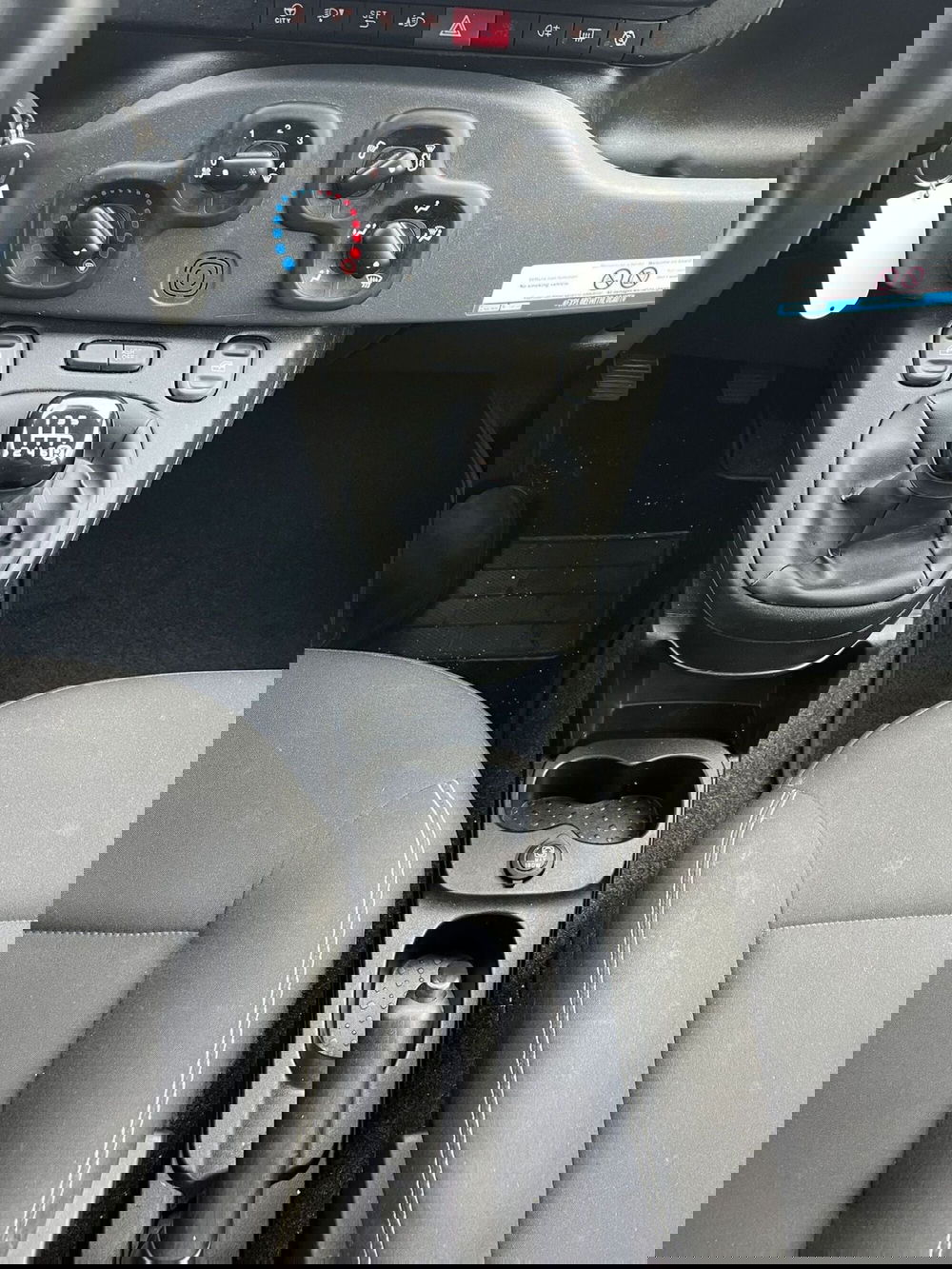 Fiat Panda Cross usata a Milano (20)