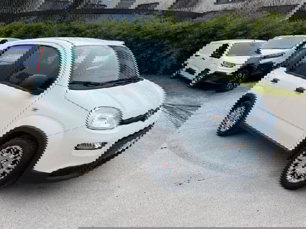 Fiat Panda Cross usata a Milano (3)