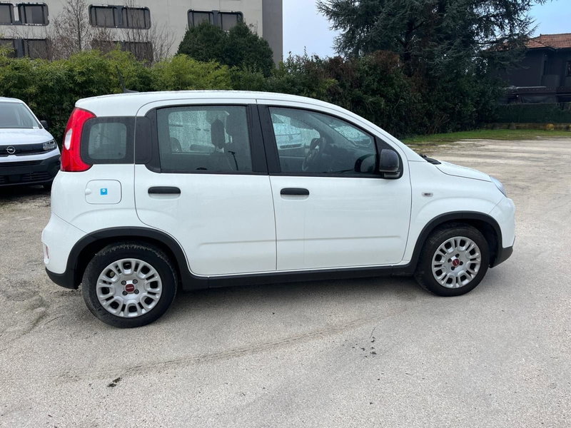Fiat Panda Cross usata a Milano (6)