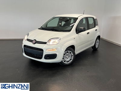 Fiat Panda Cross Cross 1.0 FireFly S&amp;S Hybrid nuova a Bergamo