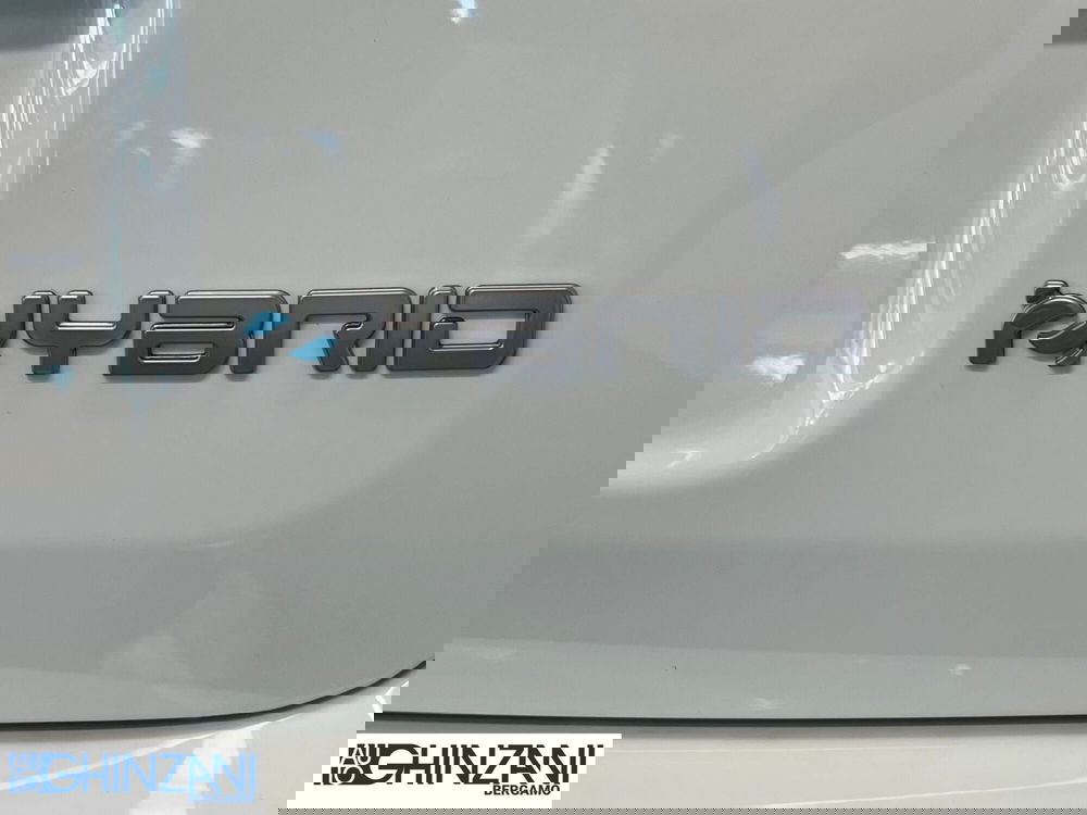 Fiat Panda Cross nuova a Bergamo (14)