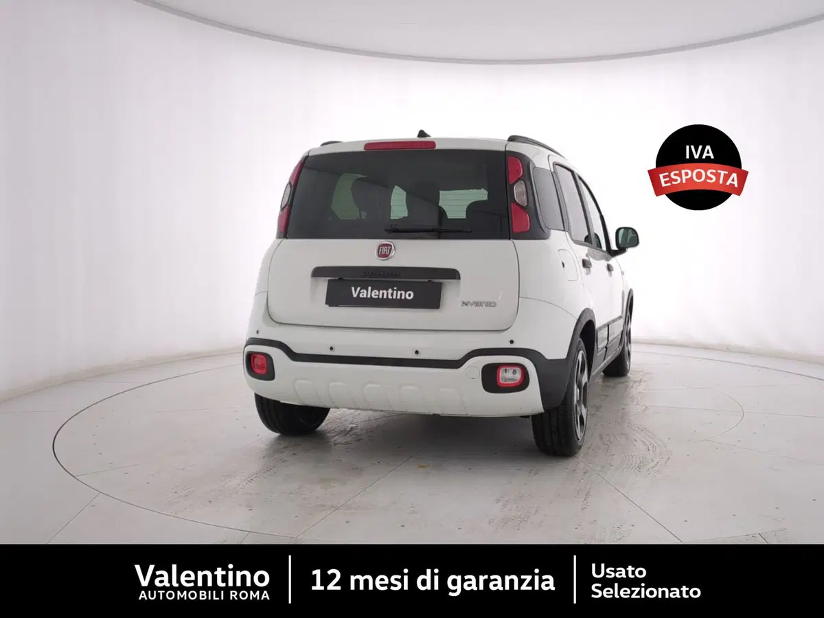 Fiat Panda Cross usata a Roma (3)