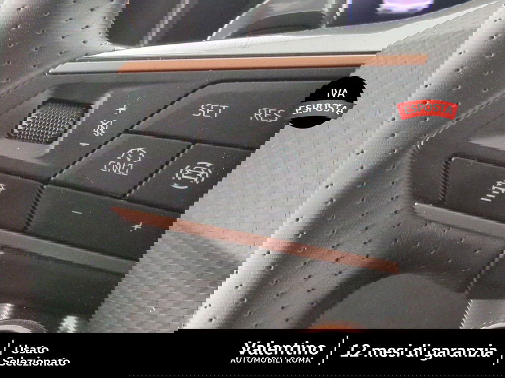 Cupra Formentor usata a Roma (15)