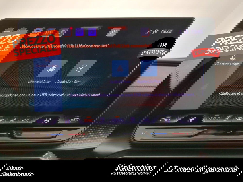 Cupra Formentor usata a Roma (19)