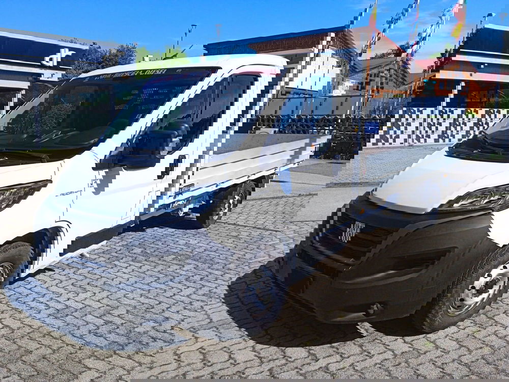 Fiat Ducato usata a Torino