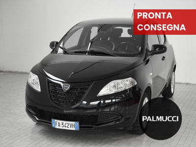 Lancia Ypsilon 1.2 69 CV 5 porte Elefantino del 2015 usata a Prato