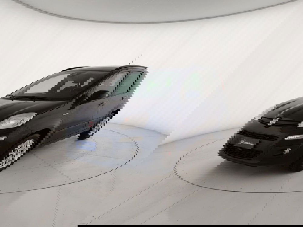 Fiat Panda usata a Massa-Carrara