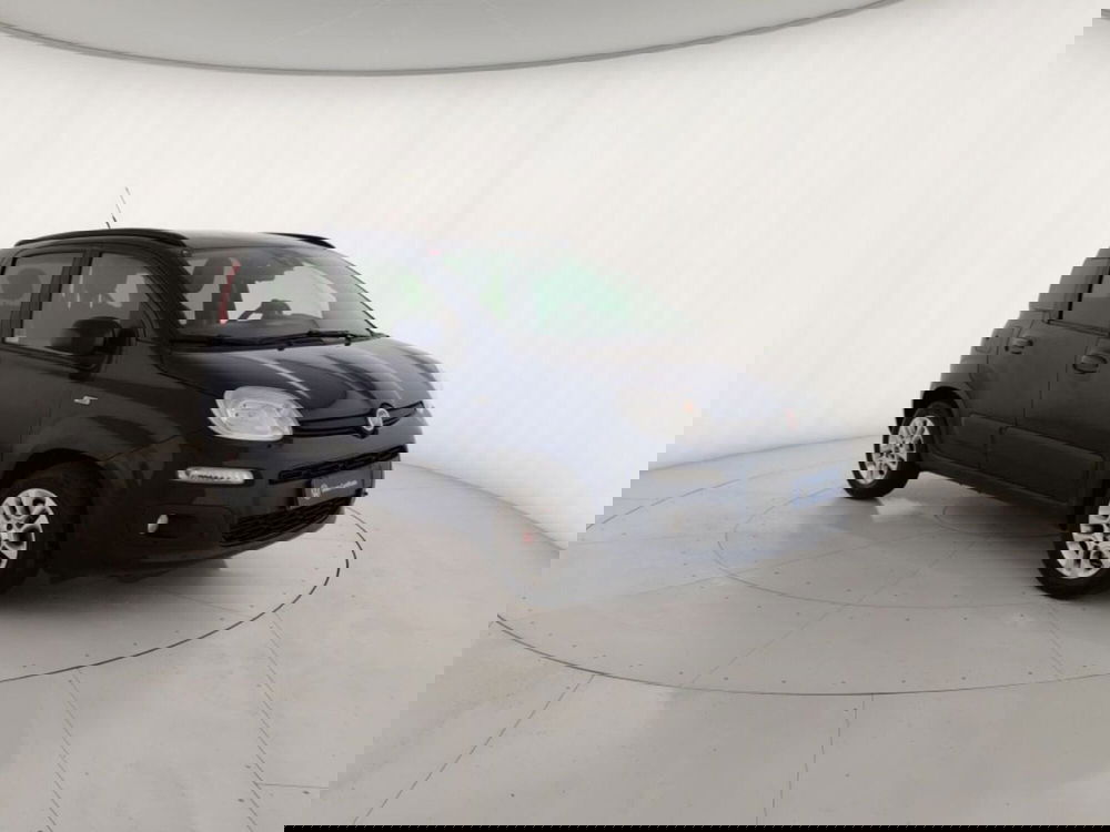 Fiat Panda usata a Massa-Carrara (4)