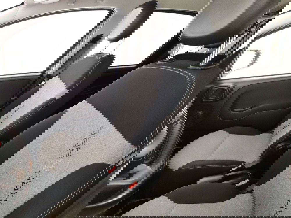 Fiat Panda usata a Massa-Carrara (9)