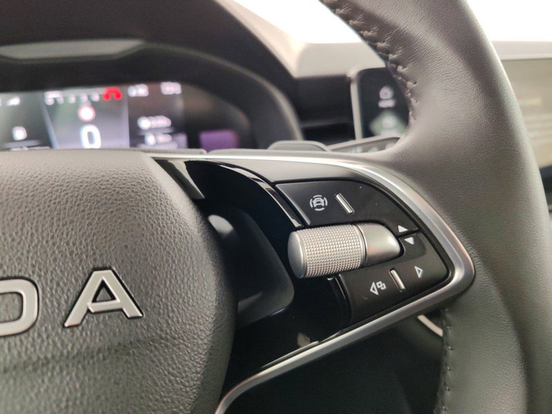 Skoda Kamiq usata a Massa-Carrara (13)