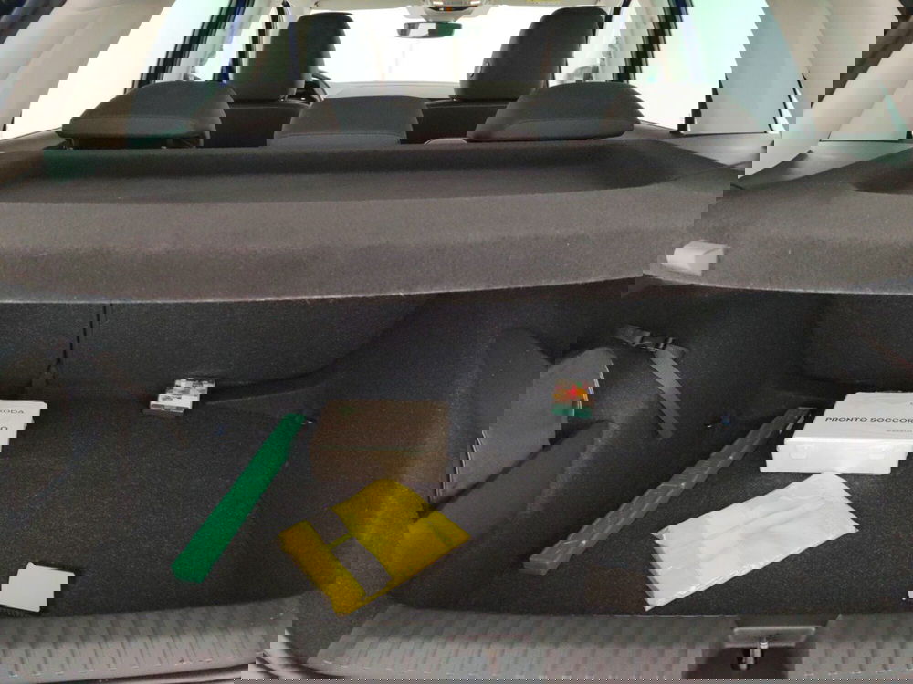 Skoda Kamiq usata a Massa-Carrara (16)