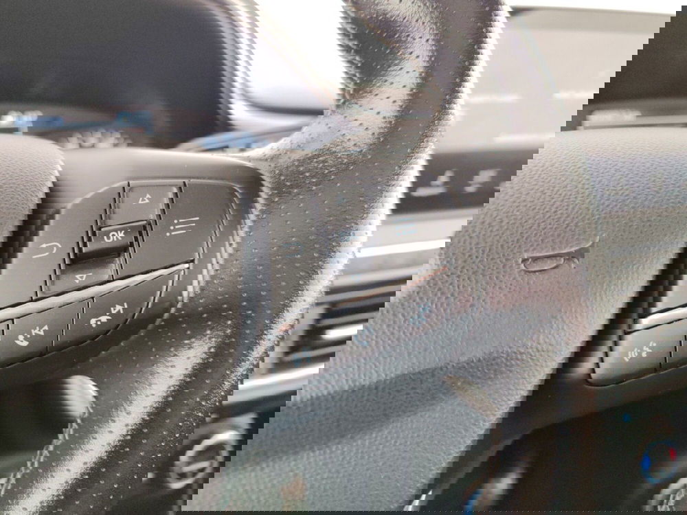 Ford Fiesta usata a Massa-Carrara (14)