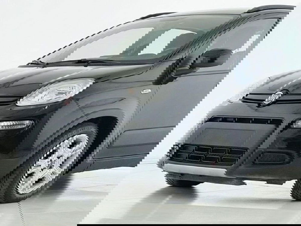 Fiat Panda usata a Perugia (2)