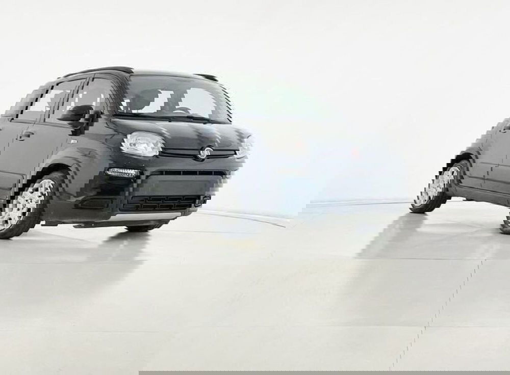 Fiat Panda usata a Perugia (4)