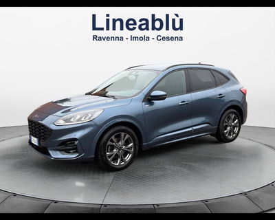 Ford Kuga 2.0 EcoBlue 120 CV aut. 2WD ST-Line X del 2024 usata a Imola