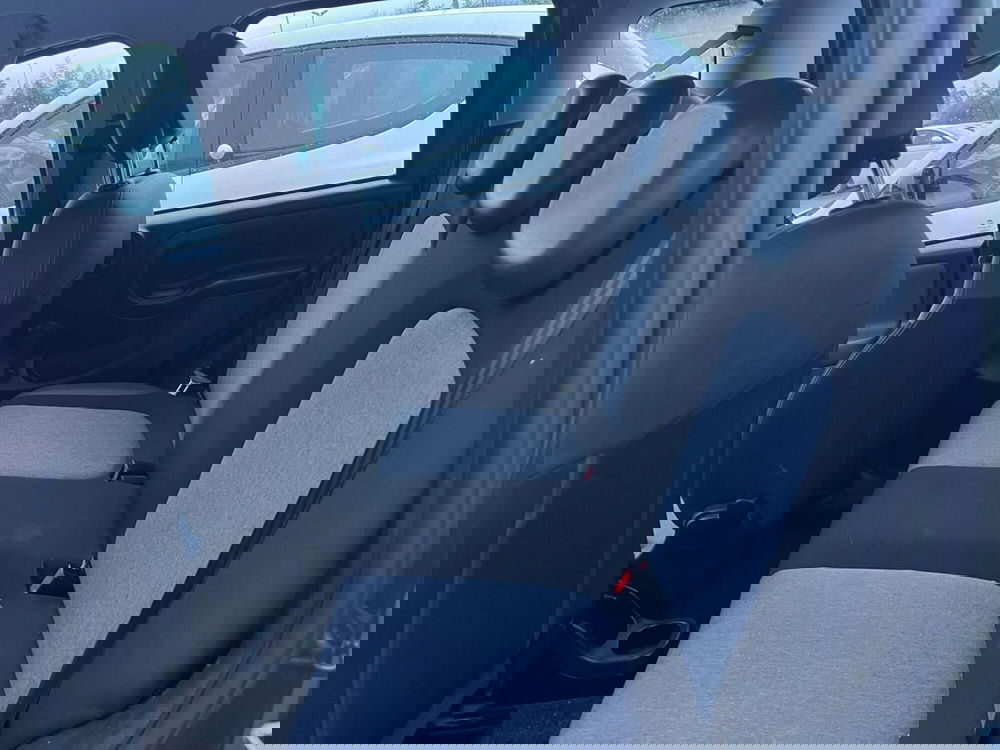 Fiat Panda Cross usata a Lucca (10)