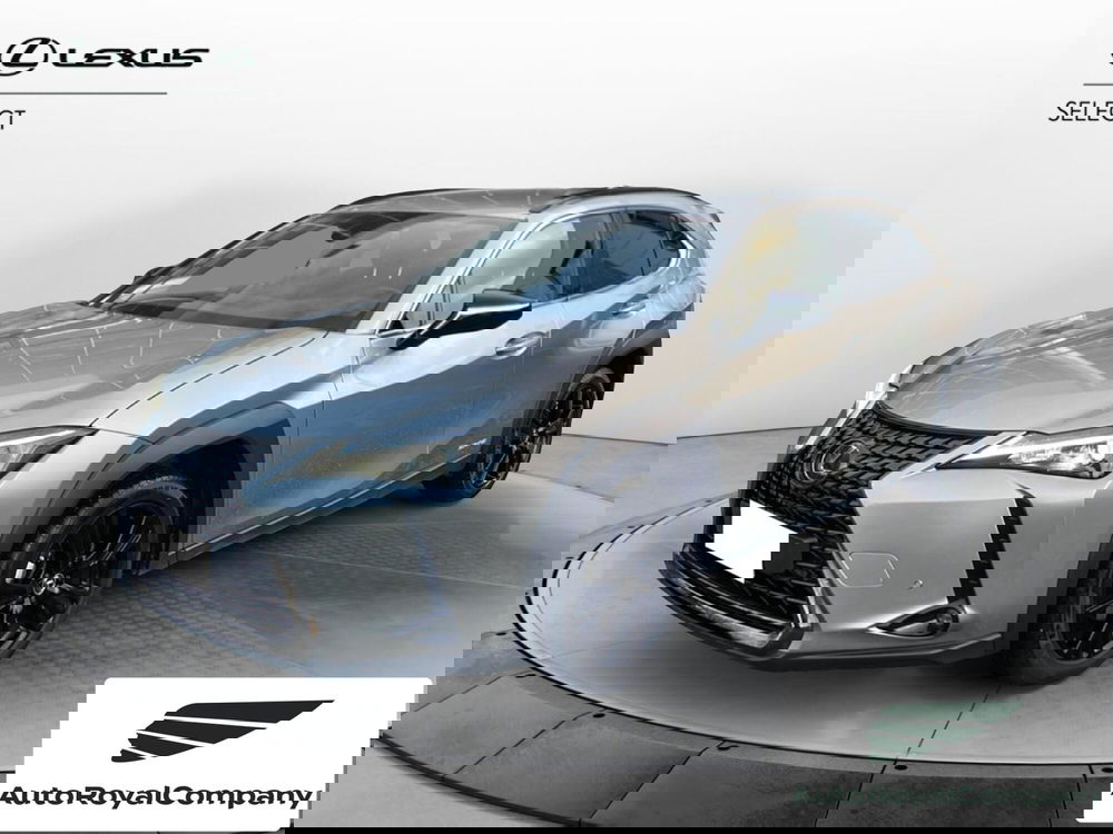 Lexus UX usata a Roma
