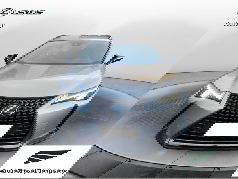 Lexus UX usata a Roma (9)