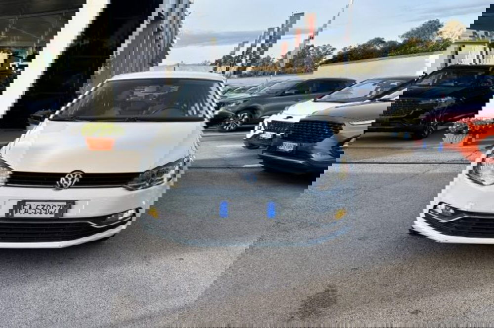 Volkswagen Polo usata a Latina (2)