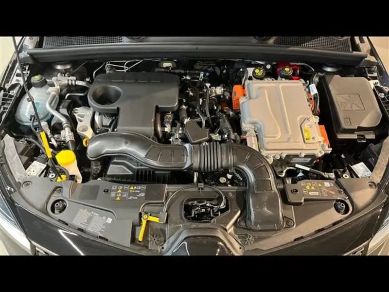 Renault Clio nuova a Firenze (14)