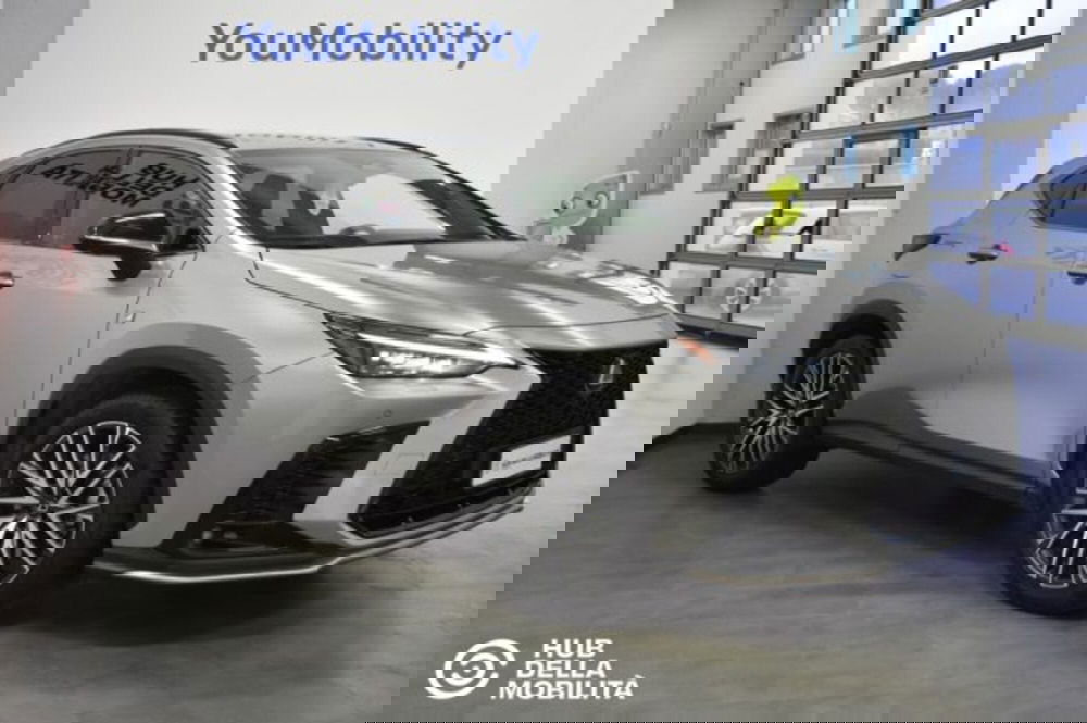 Lexus NX usata a Perugia (2)