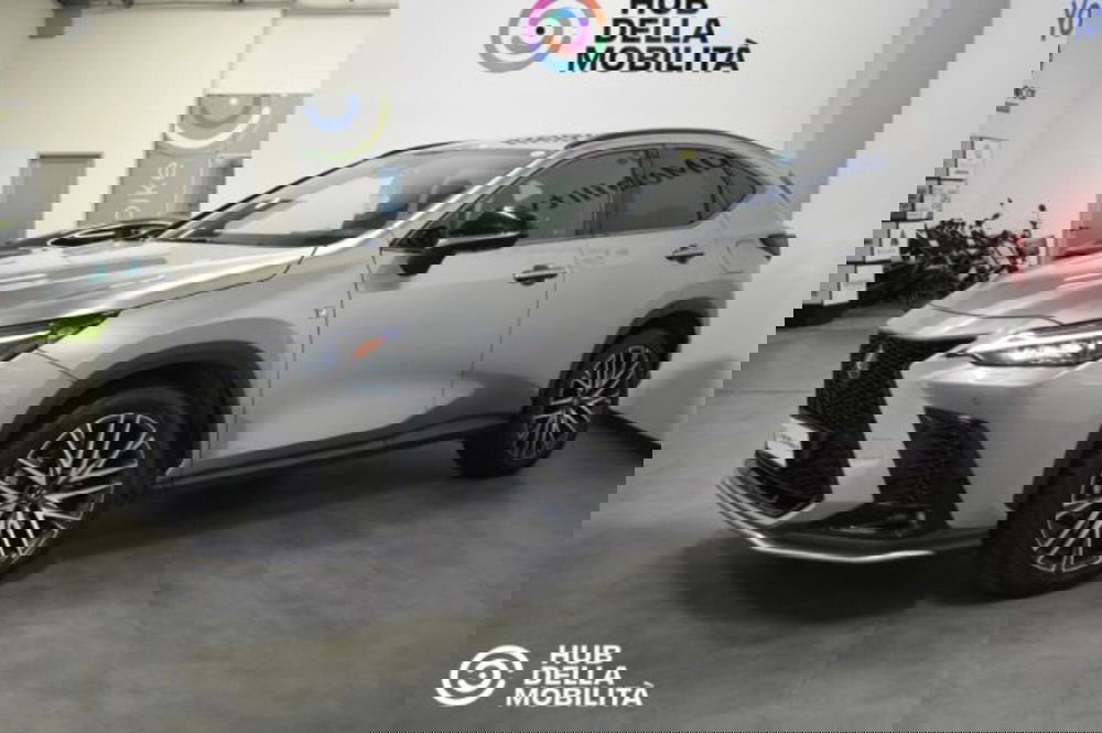 Lexus NX usata a Perugia (3)