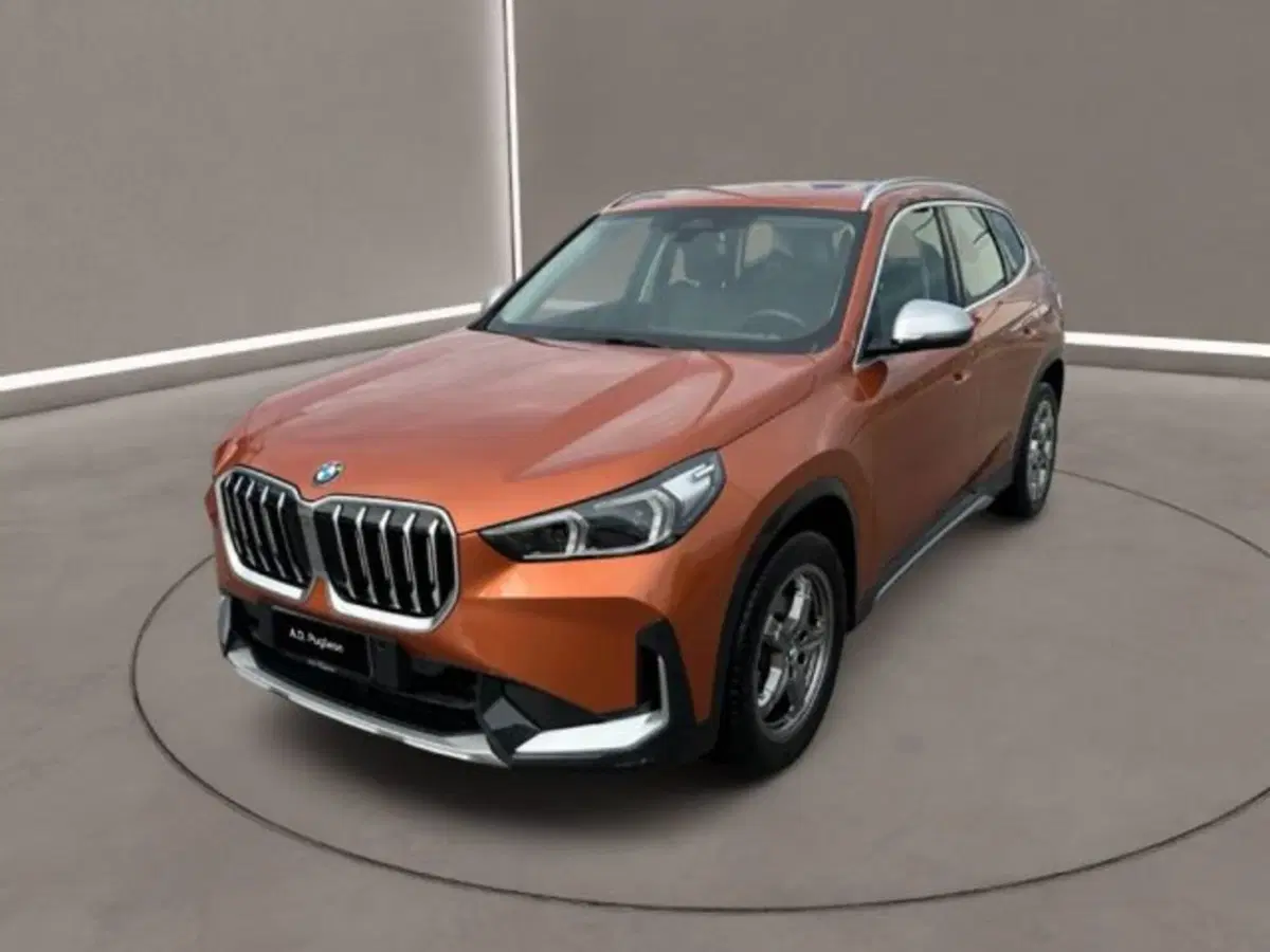 BMW X1 usata a Caltanissetta (3)