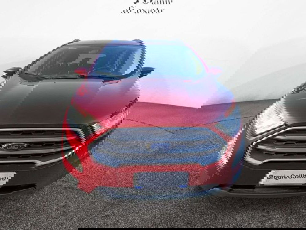 Ford EcoSport usata a Firenze (2)