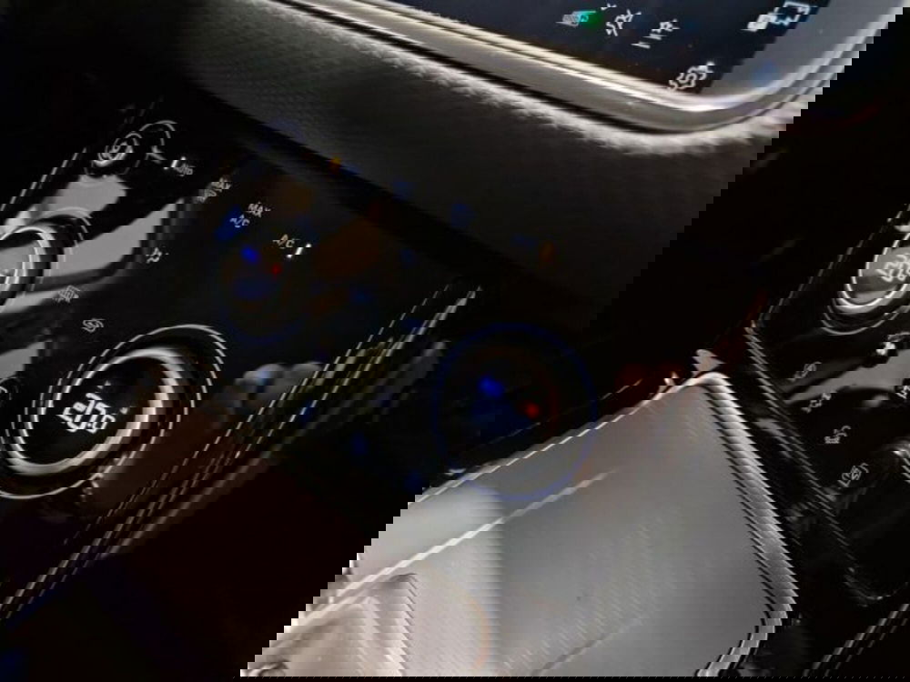 Land Rover Range Rover Evoque usata a Livorno (20)