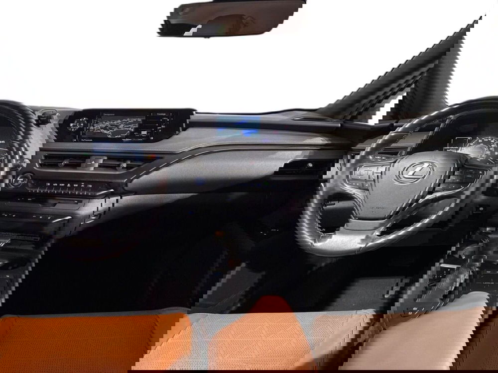 Lexus UX usata a Sondrio (9)