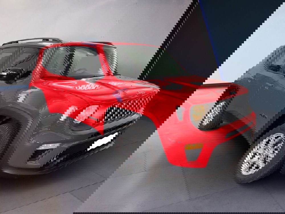 Jeep Renegade usata a Torino (3)