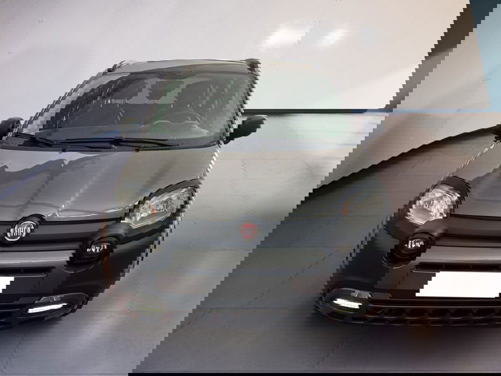 Fiat Panda Cross usata a Torino