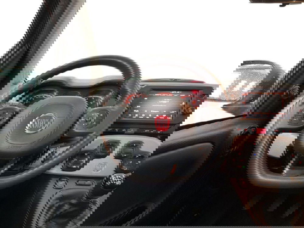 Fiat Panda Cross usata a Torino (12)