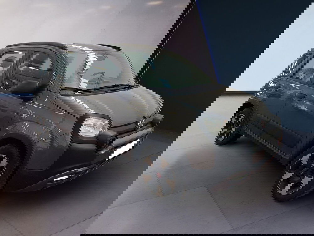 Fiat Panda Cross usata a Torino (2)