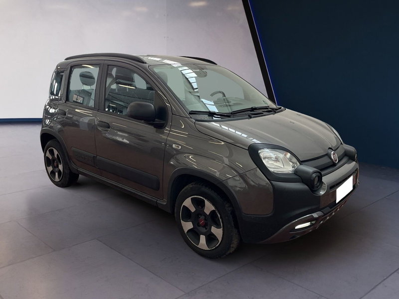 Fiat Panda Cross usata a Torino (2)