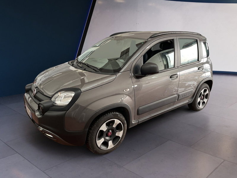 Fiat Panda Cross usata a Torino (3)