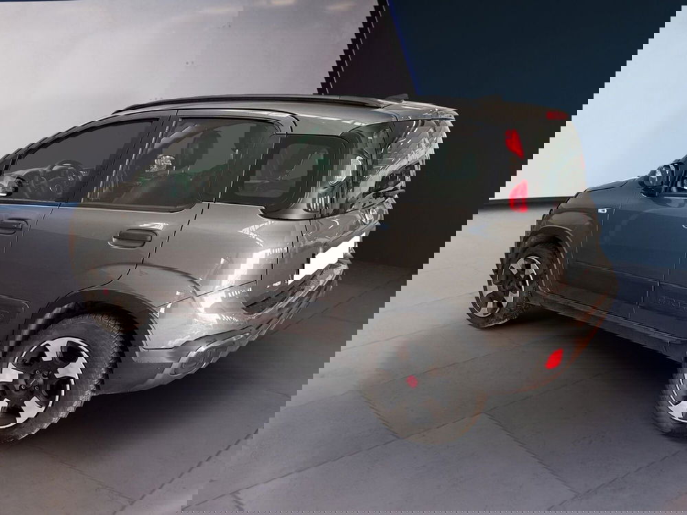 Fiat Panda Cross usata a Torino (4)