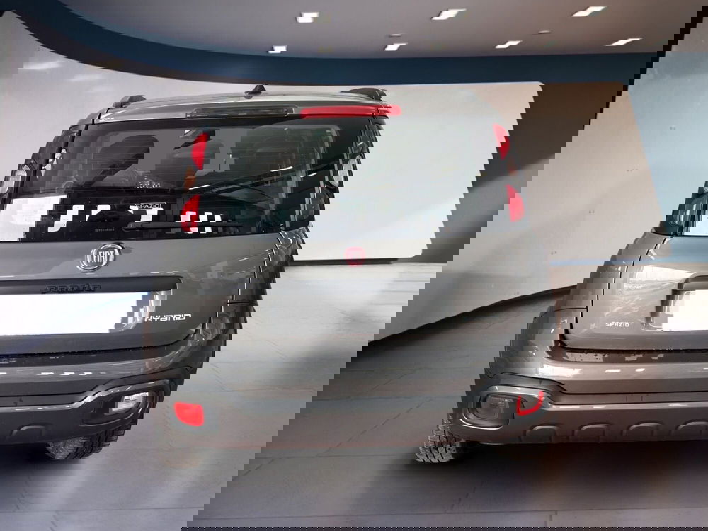 Fiat Panda Cross usata a Torino (5)