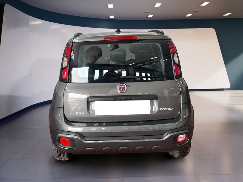 Fiat Panda Cross usata a Torino (5)